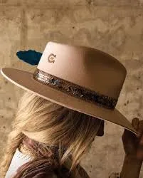 CHARLIE 1 HORSE HILLBILLY HIPPIE BY LAINEY WILSON
